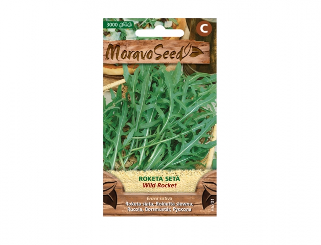 Roketa siata WILD ROCKET 66201