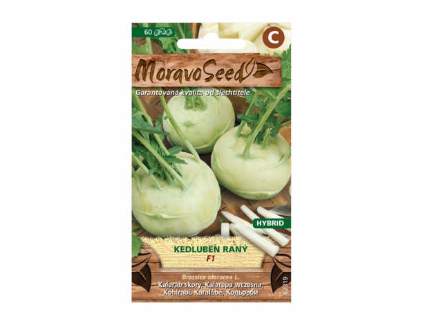 Kaleráb raný KORFU F1 - hybrid, biely 62319