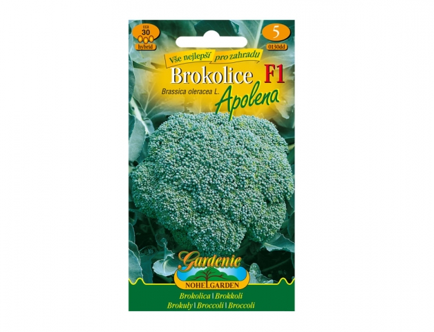 Brokolica Apolena F1 - hybrid