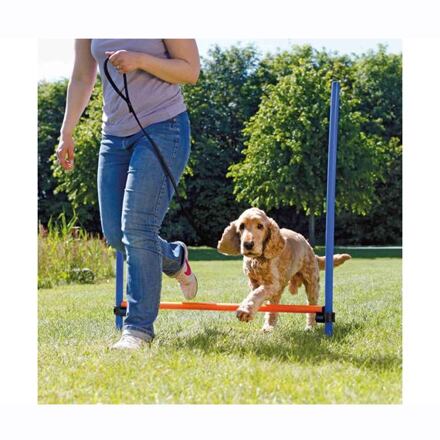 TRIXIE - Agility - Tréninková překážka