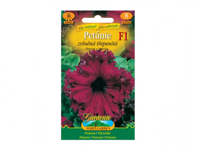 Petunia zvlnená třepenitá F1 - hybrid, bordó