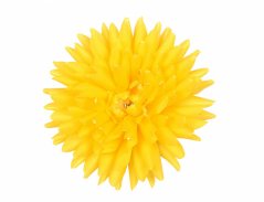 Květ voskový JIŘINA KAKTUS 15cm žlutá