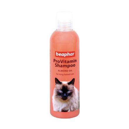 Šampóny pro kočky