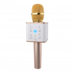 Karaoke mikrofon Eljet Performance zlatý