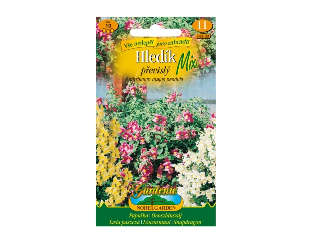 Rad Gardenia jednoročné - Kategorie - Řada Gardenia jednoletky