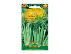 Celer řapíkatý MALACHIT, zelený