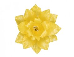 Květ voskový NARCIS 10cm žlutý