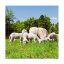 KERBL - Ovinet - Vodivá ohradníková síť pro ovce - výška 90 cm rozměr  Jednoduchý hrot 90 cm x 50 cm