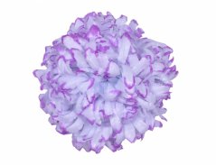Květ voskový CHRYZANTÉMA 14cm bílo fialová