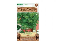 Celer listový PIKANT 60701