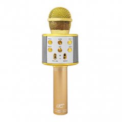 Dětský karaoke mikrofon LTC LXMIC100R Gold