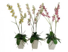 Orchidej v květníku umělá 2 výhony 65cm
