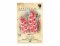 Gladiola velkokvětá ROSE SUPREME 7ks