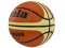 Basketbalový míč GALA CHICAGO,BB 5011S  vel.5
