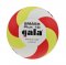 Volejbalový míč GALA Smash Plus 10 - BP 5163 S