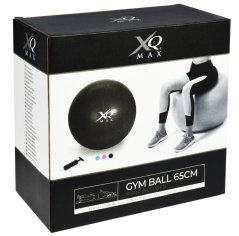 XQMAX Gymnastický míč GYMBALL XQ MAX 65 cm růžová KO-8DM000350ruzo