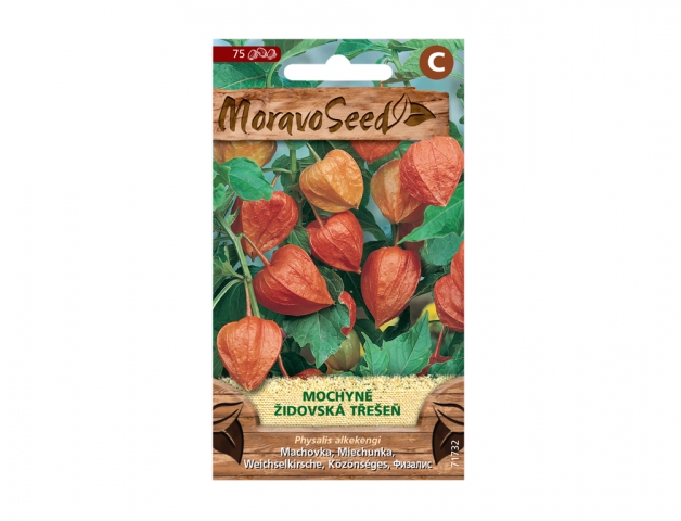 Machovka - Židovská čerešňa, oranžová 71732
