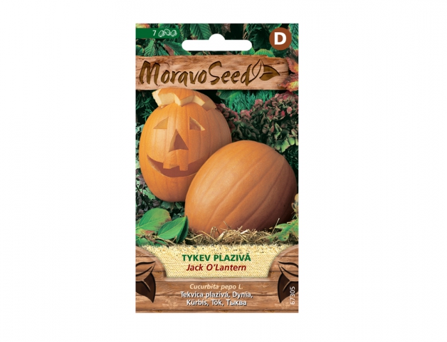 Tekvica plazivá JACK&#39;O LANTERN 67305