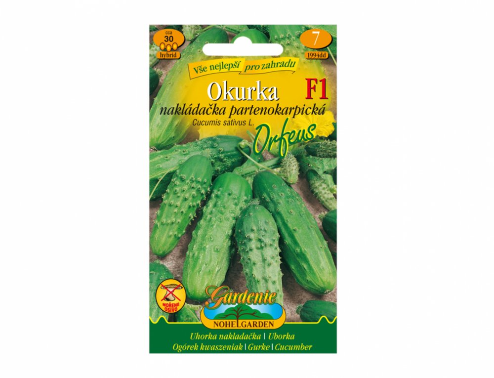 Uhorka nakladačka partenokarpická ORFEUS F1 - hybrid