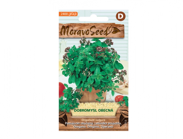 Pamajorán obyčajný - oregano 71711