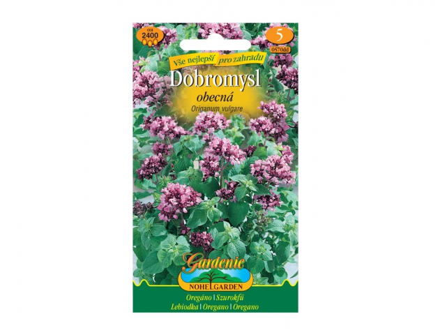 Pamajorán obyčajný - oregano 0570dd