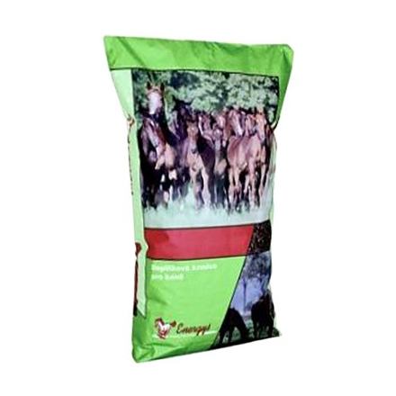 ENERGYS - Omega - Extrudované ľanové semeno