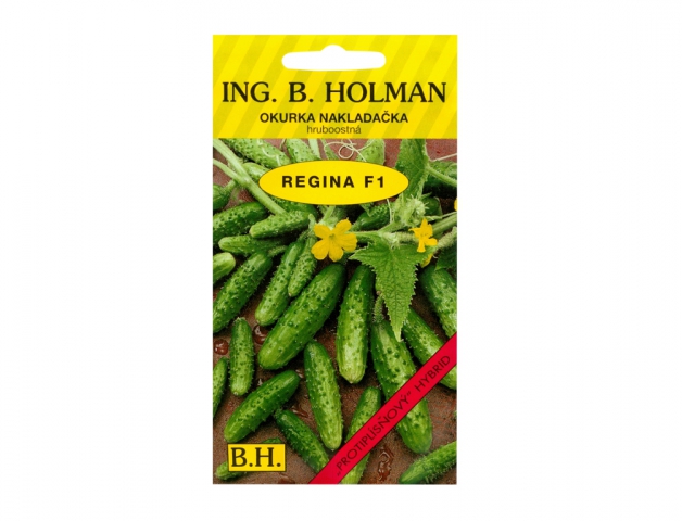 Uhorka nakladačka hruboostná REGINA F1 - hybrid 1995hh